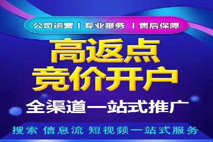 竞价推广的技巧与案例分享